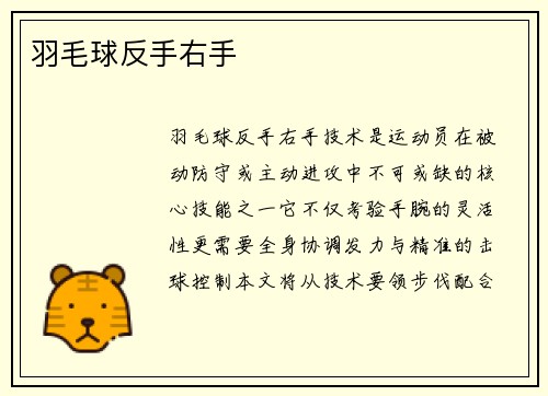 羽毛球反手右手