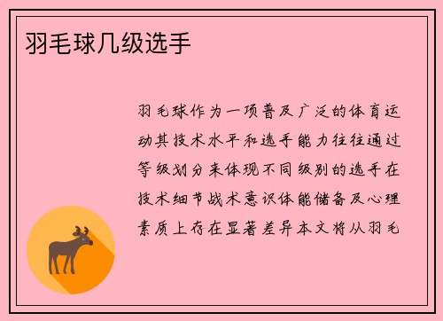羽毛球几级选手
