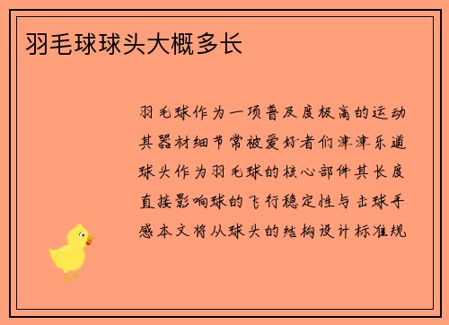 羽毛球球头大概多长