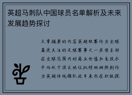 英超马刺队中国球员名单解析及未来发展趋势探讨